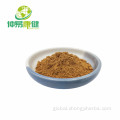 Cordyceps Polysaccharide Cordycepin Cordyceps Militaris Extract 50%Polysaccharide mycelium Factory